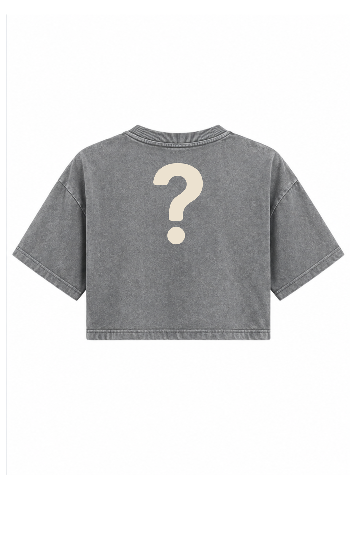 Chosen Verse Crop Top