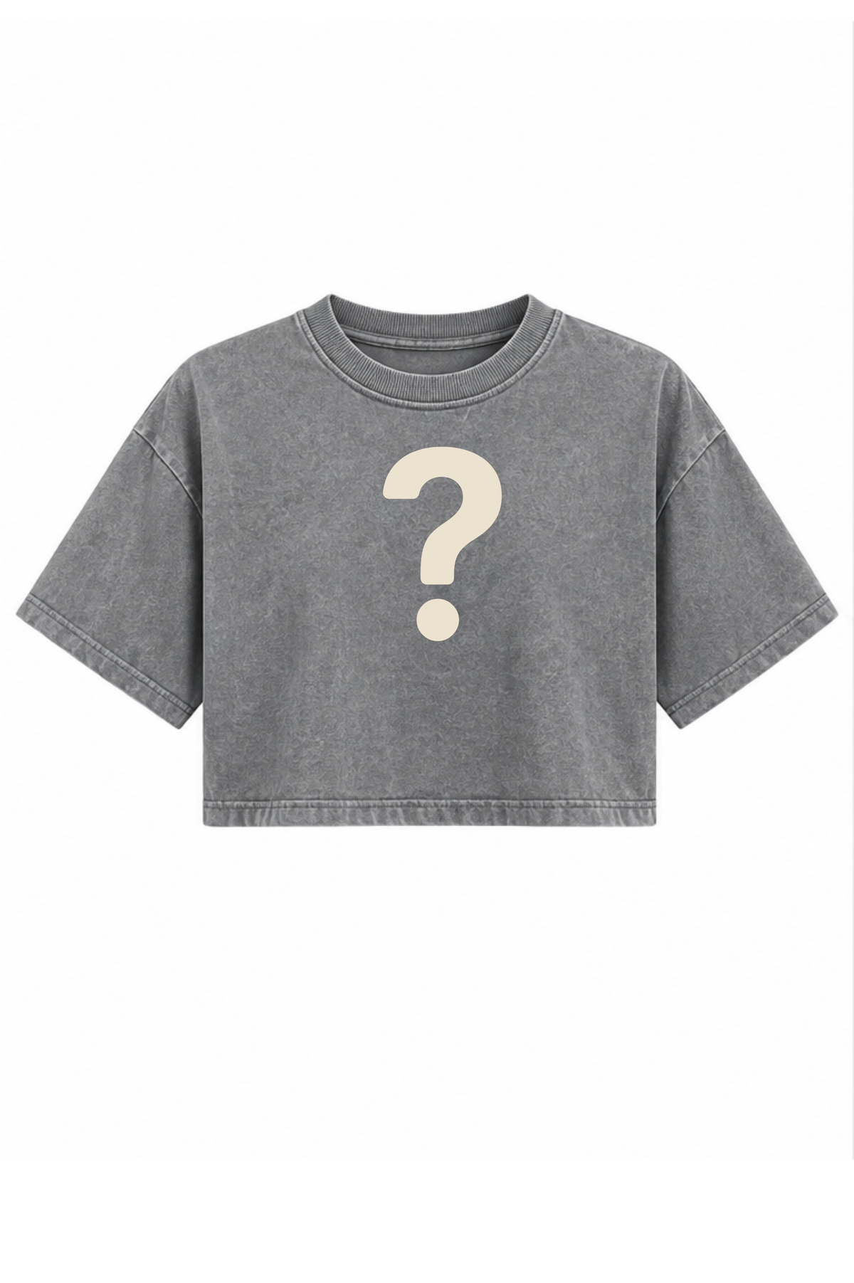 Chosen Verse Crop Top